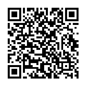 只是想要找到一个能够给予它们安全感不会被人打杀的地方……二维码生成