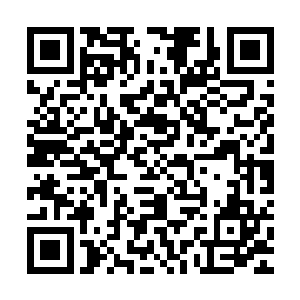 只是想让所有人都明白这一个真理精神病态也许与你们生而不同二维码生成