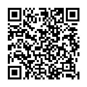 只是想踏踏实实地在这个位置上为老百姓多做几件事而已二维码生成