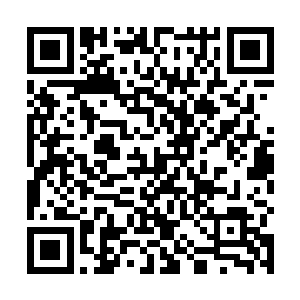 只是我不知道南方四堂已经隐居在镇妖城究竟目的何在二维码生成