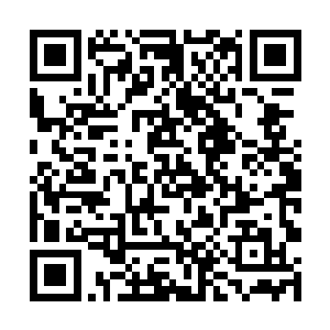 只是把自己刚刚得来的那个玉牌在四人面前亮了一下二维码生成