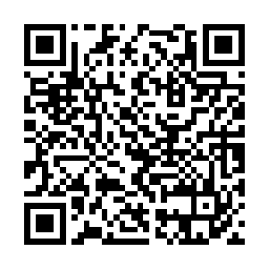 只是把这些敢在它的领地内活动的修士驱赶到一起二维码生成