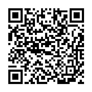只是报表上这么大一笔钱明显与供货商供出的货品有些不符二维码生成