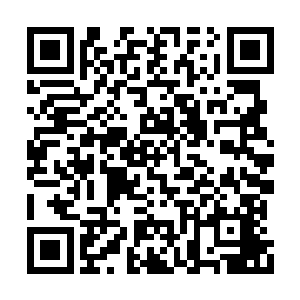 只是拓拔菩萨以一种比出城速度快上无数的速度二维码生成