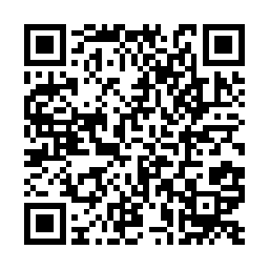 只是掌手内凹不好受力要不然早就被咬下一大块了二维码生成