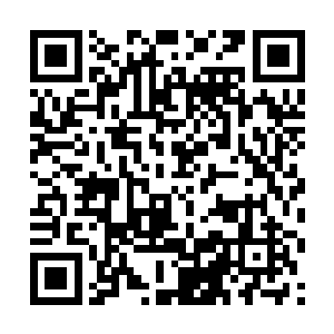 只是方才看起来颇为上路的这伙人没让他们发呆多久二维码生成