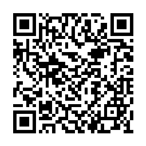 只是无缘无故没有证据就被人当作纵火犯给抓来二维码生成