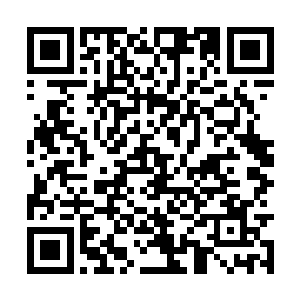 只是昨儿容儿回来了一时就忘了让人给三姐送过去二维码生成