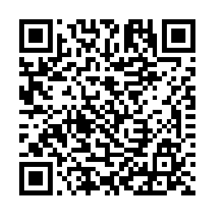 只是暗下决定有机会一定要包份大的红包给侄子侄女二维码生成