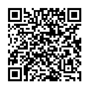 只是最后未必是她期望的结果……她没听说过一句话二维码生成