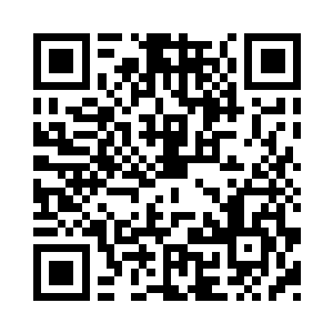 只是有一些小虫子挡住了我们的去路二维码生成