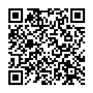只是有些奇怪毗湿奴的反应……总觉得有什么地方被我遗漏了二维码生成