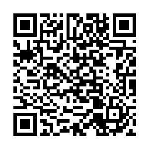 只是有少数天生对危险感觉敏锐的蛮族变得小心翼翼二维码生成