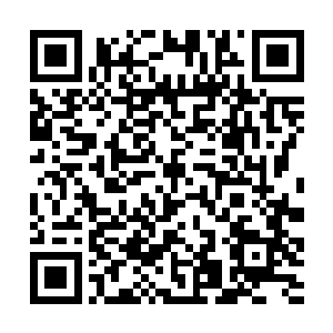 只是有很多珍贵的草药都有着修为高深的仙兽在守护二维码生成