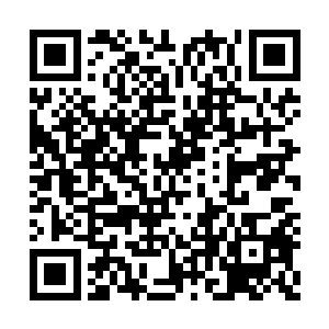 只是有时候回家的时候林浣溪和贝贝正在看电视二维码生成