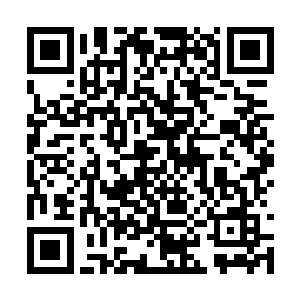 只是李鸾儿以后再有了什么野物还是想卖给严家的二维码生成