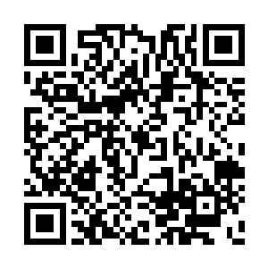 只是来自白虎分院玄一的对手而已……而已……二维码生成