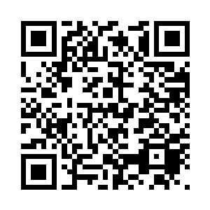 只是果圣碧灵岛中的十大护法的样子二维码生成