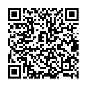 只是柳清浅将那么多鬼聚集在东城区是想要干什么呢二维码生成