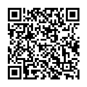 只是核心遗失与三万年前风云关传送大阵又有什么关系二维码生成