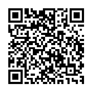 只是根据外界武者使用下等神王草培养出的神王死士为参照物二维码生成