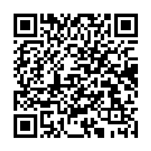 只是此时许紫烟却只是把这里当做一个通关的场所二维码生成