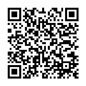 只是每年通过一些特殊的渠道发送一条奇怪的代码就可以二维码生成