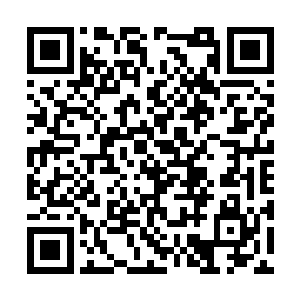 只是每点可回收利用的材料都打上自己的神识标记二维码生成