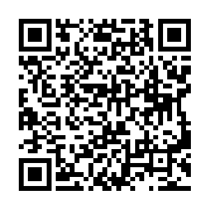 只是没想到她不跟许美金了之后居然跟着许琳琳混了二维码生成