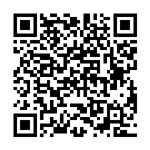 只是没曾想到今日有幸能够见到师师姑娘的庐山真面目二维码生成