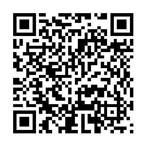 只是没有想到当日在望天崖上还是那般弱小的少女二维码生成