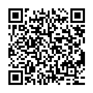 只是没有趁手的代步工具……我看你的那个赤阳战舰就不错……二维码生成