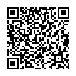 只是法则之力灵化的鱼只毕竟不是真正的智慧生命二维码生成