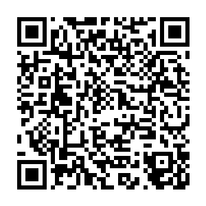 只是混沌巨人族人数比较少不然的话远古神界恐怕就已经是混沌巨人族的天下了二维码生成
