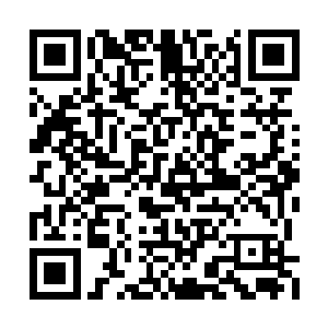 只是渡劫便能引得灵界大能自斩一刀而本尊亲至二维码生成