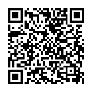 只是满脸热情地把卢向东一直送到了乡政府门口二维码生成