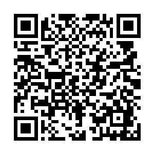 只是烈焰佣兵团的几人和青衫青木两人受了很重的伤势二维码生成