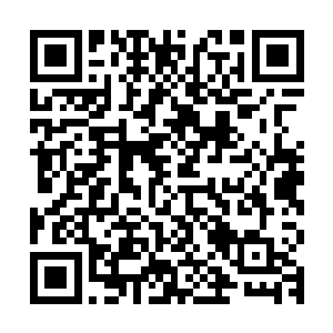 只是牢牢记住了殷萝口里说的那个灰色衣物的细长细长的女施主二维码生成