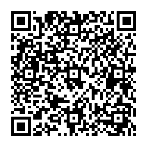 只是现在她的心里完全还在竭力控制那种从恐怖深渊脱身出来的惴惴跟看见杀人的茫然中二维码生成