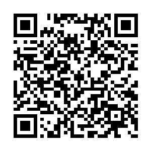 只是现龙族在培育龙血花这方面失传了很多东西二维码生成