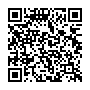 只是生性谨慎的他在做出种种决定时免不了犹疑二维码生成