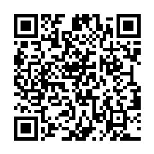 只是用了一个时辰的时间心道体内的伤势就完全恢复二维码生成