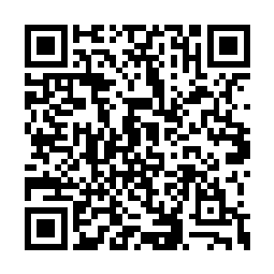 只是用惊慌失措的眼神看着面前的这个白衣男子二维码生成