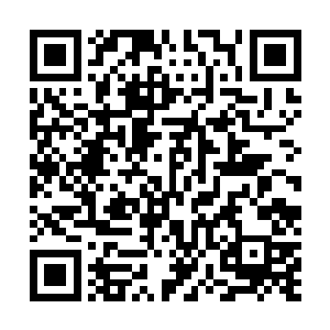 只是用手轻轻抓住赵长枪的手指尖毫无诚意的摇晃了几下二维码生成