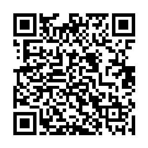 只是用本体强度抡起了巴掌向着那几个仙帝扇了过去二维码生成