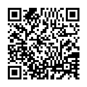 只是用深邃的眼神看着对面略显激动时带着一点狰狞的表情二维码生成