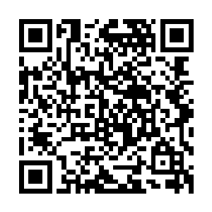 只是用自己严肃的表情告诉陈凌他们已经认识到了自己的错误二维码生成