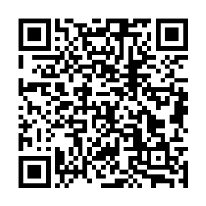 只是留下那些传送令和一些空间法阵传递情报而已二维码生成