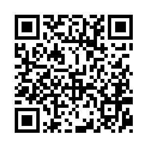 只是看到子弹在它的身前掉落变成了渣二维码生成