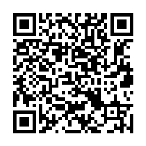 只是看到萧岩与刚进来的夭华一直目不转睛地对视二维码生成